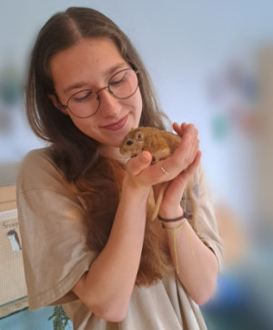 Preview Über mich - Vorstellung